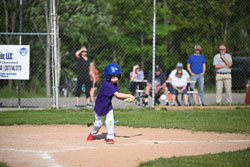 20250616-LLBB-11273.jpg