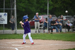 20250619-LLBB-02087.jpg