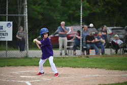 20250619-LLBB-02089.jpg