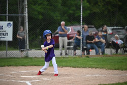 20250619-LLBB-02094.jpg