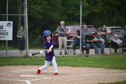 20250619-LLBB-02096.jpg