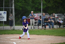20250619-LLBB-02097.jpg
