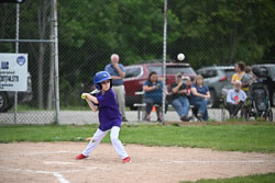 20250619-LLBB-05924.jpg