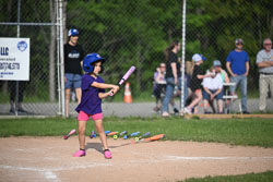 20250616-LLBB-12235.jpg