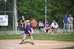 20250616-LLBB-08805.jpg