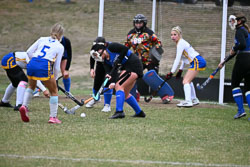 20251016-Stearns-HSFH-1080.jpg