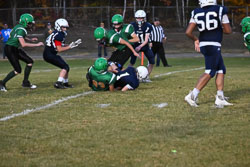 20251021-Stearns-JHFB-0634.jpg