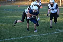 20251001-Stearns-JHFB-3388.jpg