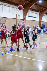 20251110-LPBB-2617.jpg