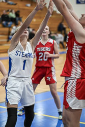 20251129-Stearns-LMBB-2086.jpg