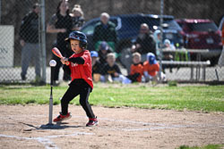 20260509-LLBB-03435.jpg
