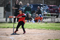 20260509-LLBB-03438.jpg