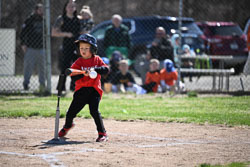 20260509-LLBB-03440.jpg