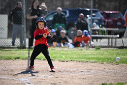 20260509-LLBB-03446.jpg