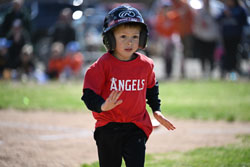 20260509-LLBB-03506.jpg