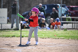 20260509-LLBB-03538.jpg