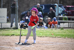 20260509-LLBB-03543.jpg