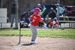 20260509-LLBB-03552.jpg