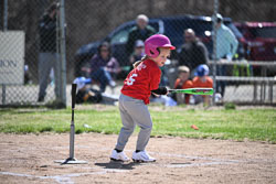20260509-LLBB-03567.jpg