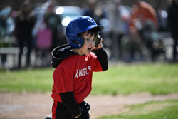 20260509-LLBB-01409.jpg