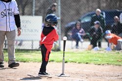 20260509-LLBB-03650.jpg