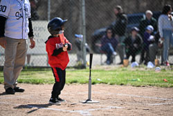 20260509-LLBB-03736.jpg