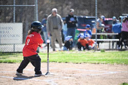 20260509-LLBB-00825.jpg