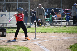 20260509-LLBB-00556.jpg