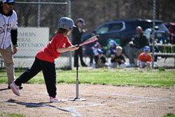 20260509-LLBB-02803.jpg