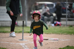 20260509-LLBB-06786.jpg