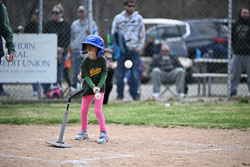 20260509-LLBB-11785.jpg