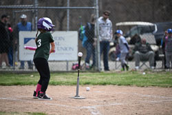 20260509-LLBB-11167.jpg