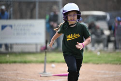20260509-LLBB-11216.jpg