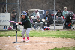 20260509-LLBB-05984.jpg