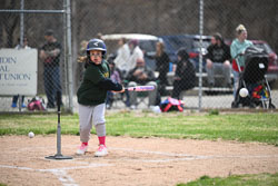 20260509-LLBB-05992.jpg