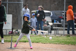 20260509-LLBB-10931.jpg