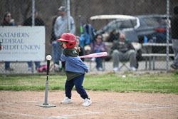 20260509-LLBB-11907.jpg