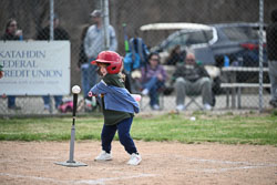20260509-LLBB-11909.jpg