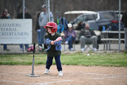 20260509-LLBB-11917.jpg