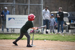 20260509-LLBB-10852.jpg