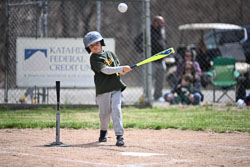 20260509-LLBB-08101.jpg