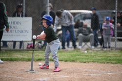 20260509-LLBB-11373.jpg