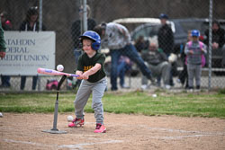20260509-LLBB-11380.jpg