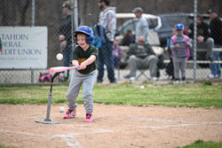 20260509-LLBB-11408.jpg
