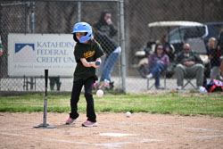 20260509-LLBB-08463.jpg