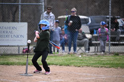 20260509-LLBB-11023.jpg
