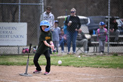 20260509-LLBB-11032.jpg