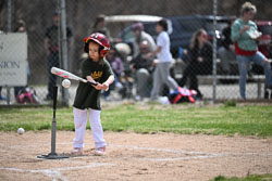 20260509-LLBB-06451.jpg