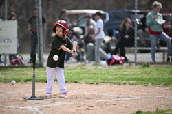 20260509-LLBB-06454.jpg