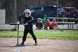 20260509-LLBB-01747.jpg